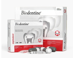 Biodentine Bioactive Dentin Replacement 