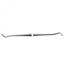 Discoid Cleoid (American Eagle)