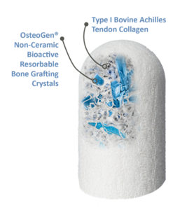 OsteoGen Plug Pack of 5 (Impladent)