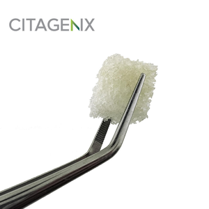 PentOs OI Sponge (Citagenix)