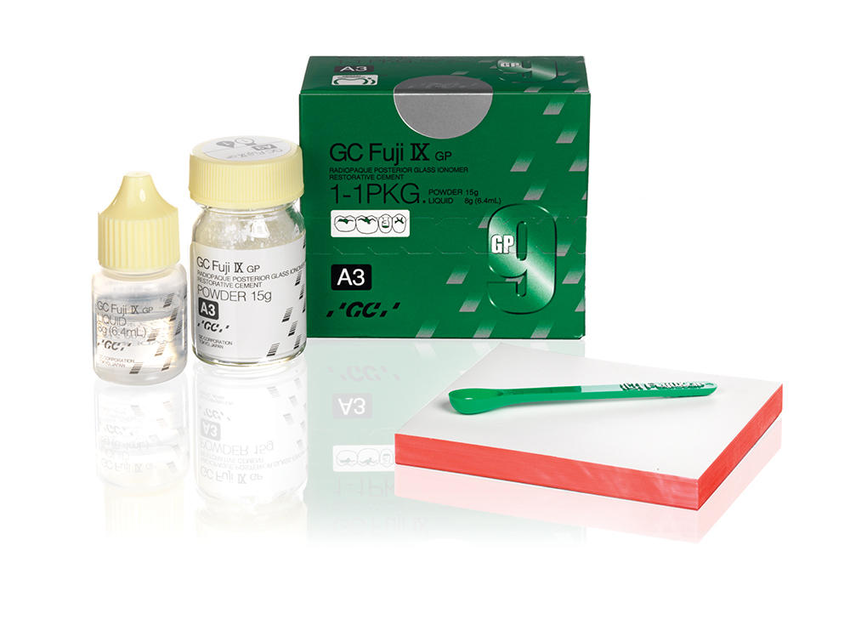 Fuji IX GP P&L (GC America) Fuji IX GP P&L (GC America)