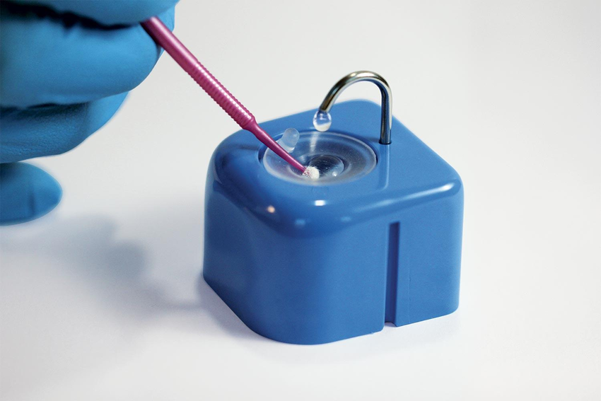 Hy-Drop (Polydentia) Hy-Drop (Polydentia)