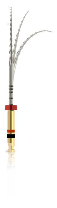 RootFlex Joker (JMorita)