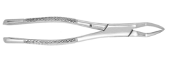 Forceps Roots (J&J Instruments)
