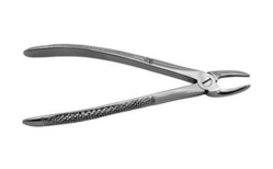 Forceps Extract Veterinary (J&J Instruments)