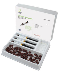 Geristore Syringeable (DenMat)