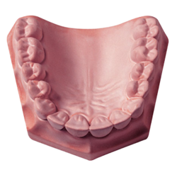 Prima Rock (Whipmix)