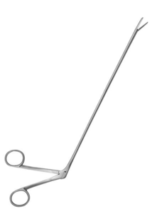 Alligator Forceps 10