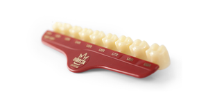 Directa Poly Crown Mould Guide Molar 