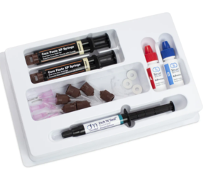 Core Paste XP Dual Cure Intro Kit (DEN-MAT) 