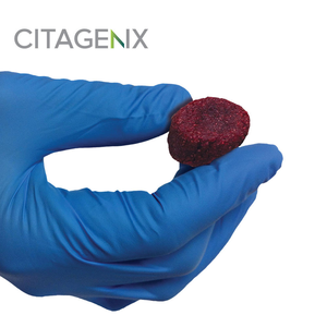 PentOs OI Max (Citagenix)