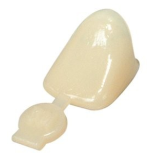 Polycarbonate 1st Bicuspid Pack of 5 (Sky Choice)