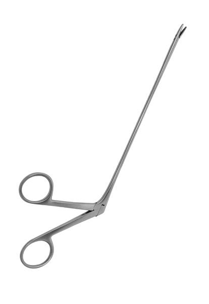 Alligator Forceps 6.5