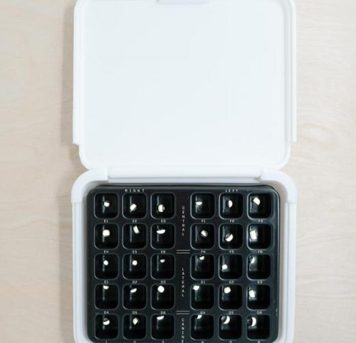 Acero ES White Crown Kit (30) (Acero)